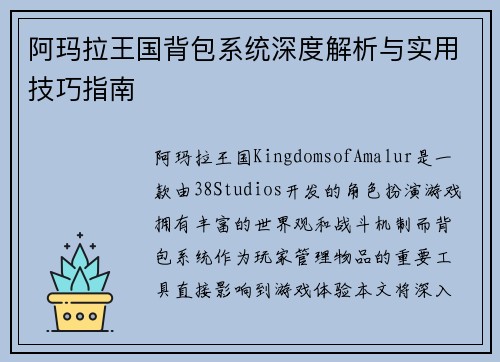 阿玛拉王国背包系统深度解析与实用技巧指南